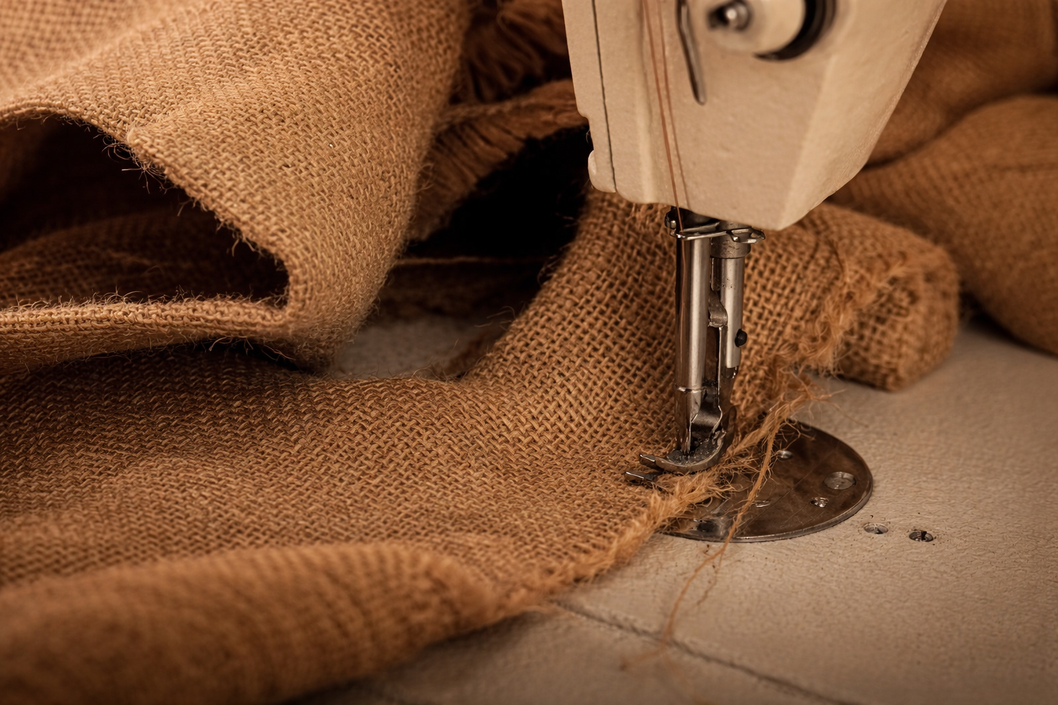 HOme ChatGPT Image Jan 19 2026 02 06 41 PM